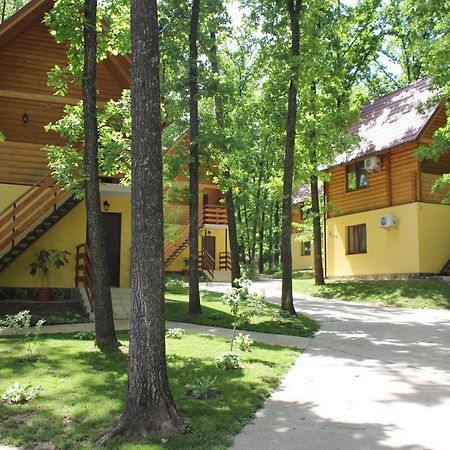 Вілія Hotel Lomacineţi Екстериор снимка