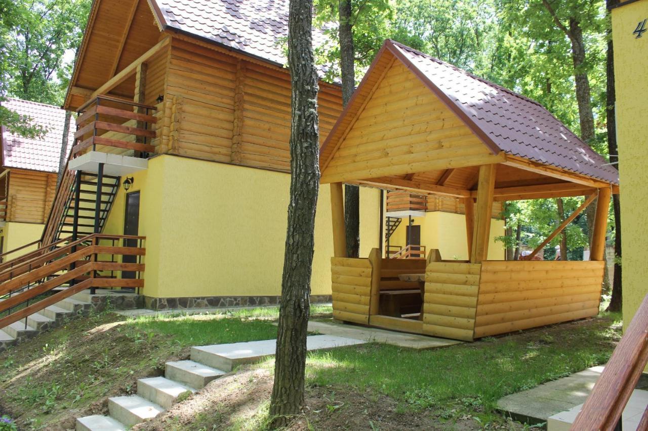 Вілія Hotel Lomacineţi Екстериор снимка