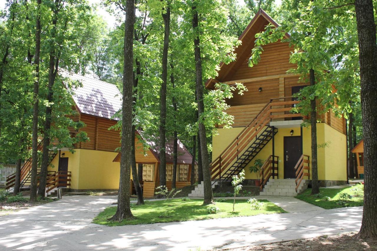 Вілія Hotel Lomacineţi Екстериор снимка